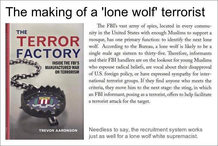 The making of a lone wolf terrorist